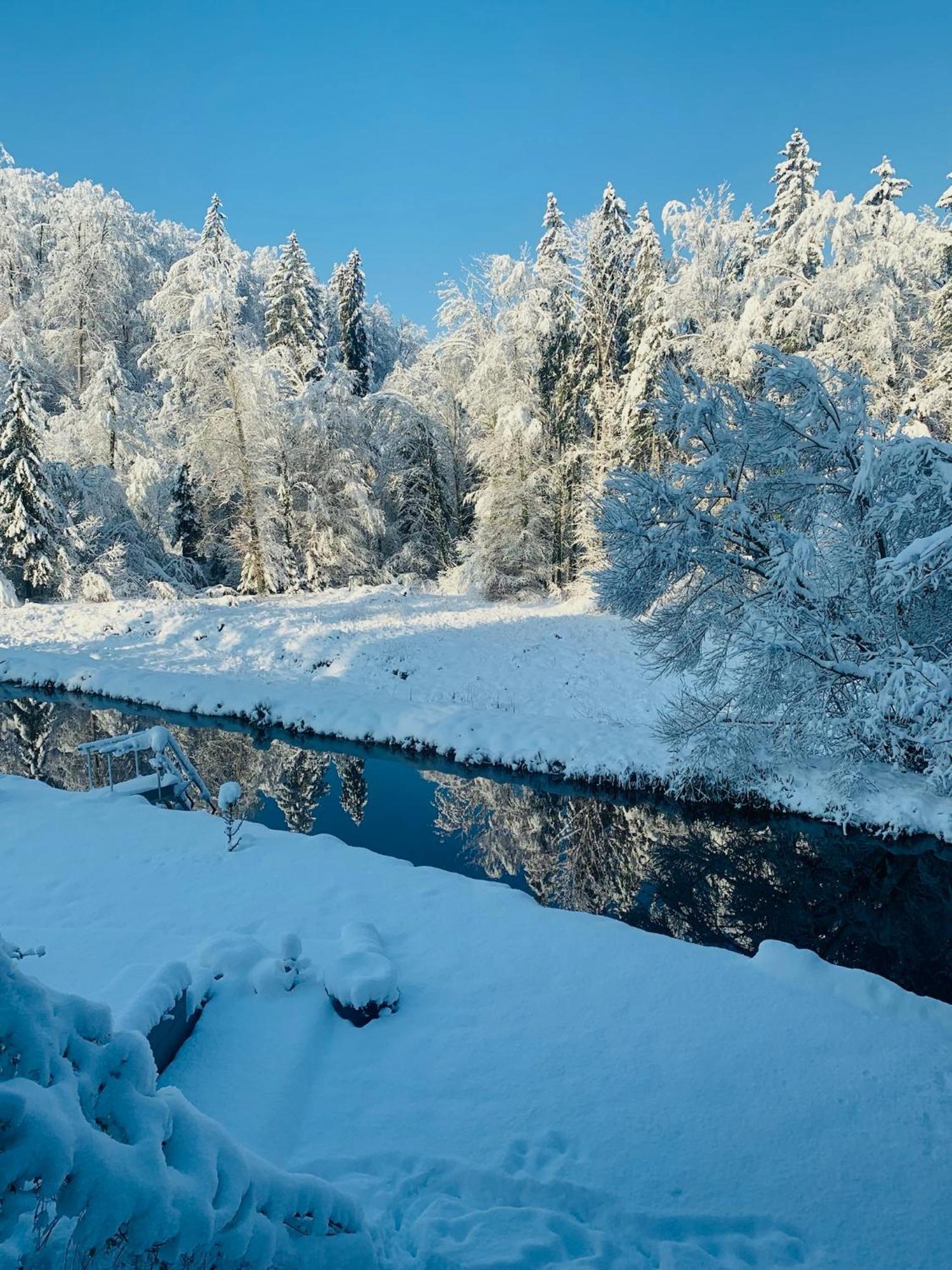 Hjem - Tiny Homes Direkt Am Wald Zwischen Allgaeu & Bodensee Bergatreute ภายนอก รูปภาพ